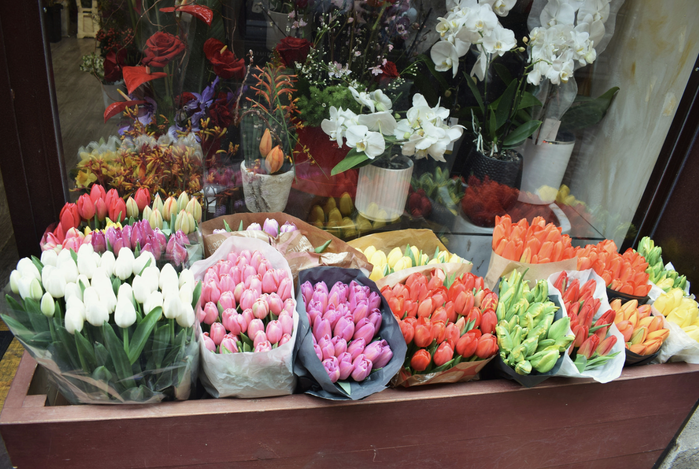 Қазақстанға ең көп гүл экспорттайтын ел анықталды