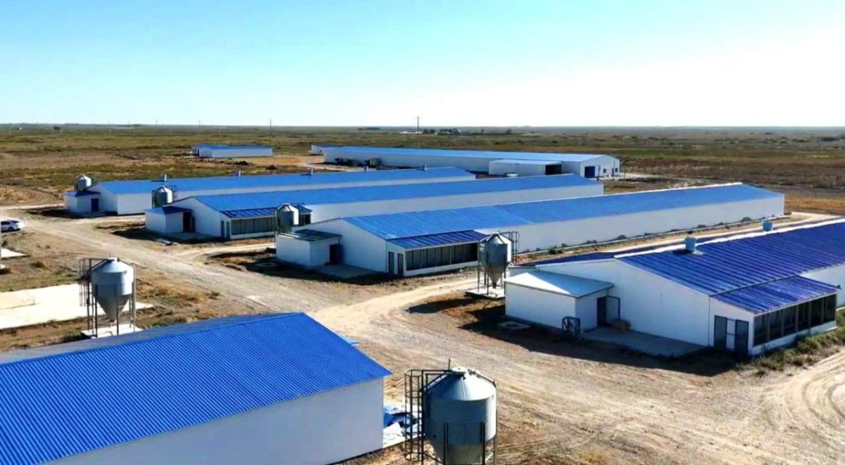 Қызылорда облысында жылына 3,5 мың тонна өнім өндіретін құс фабрикасы салынады