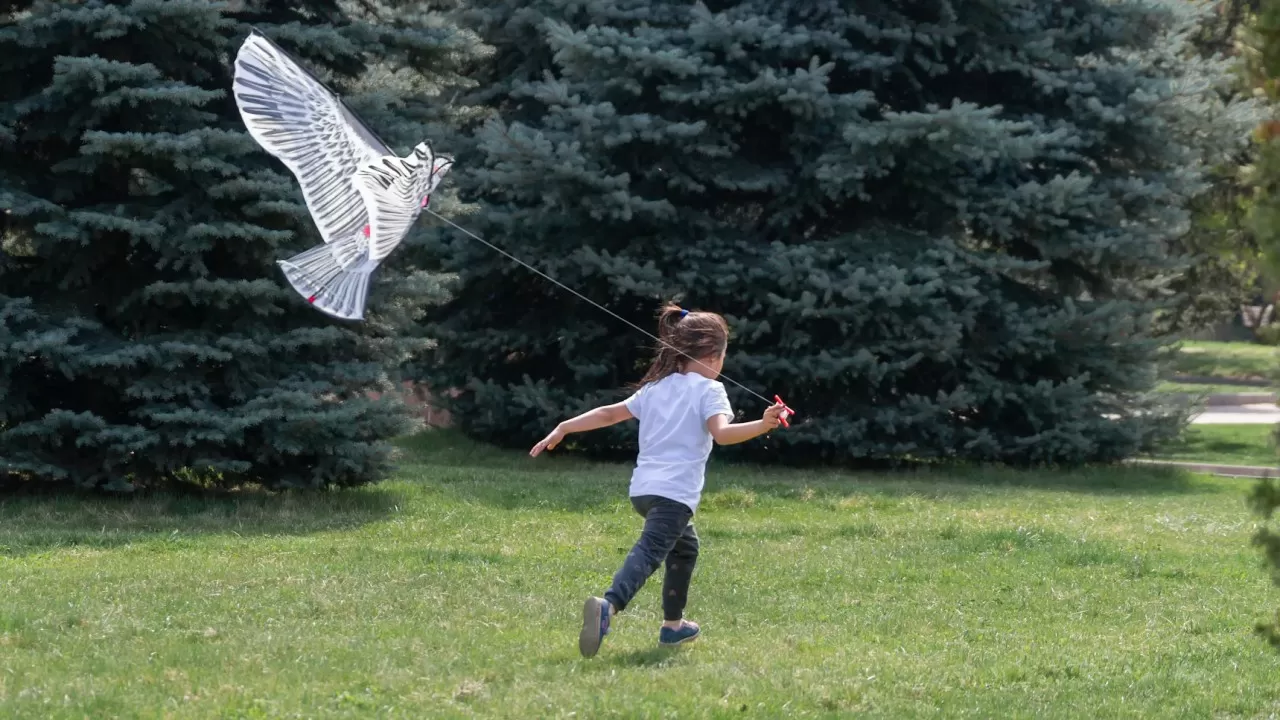 Казахстан оказался выше Китая и Франции в свежем рейтинге ООН 