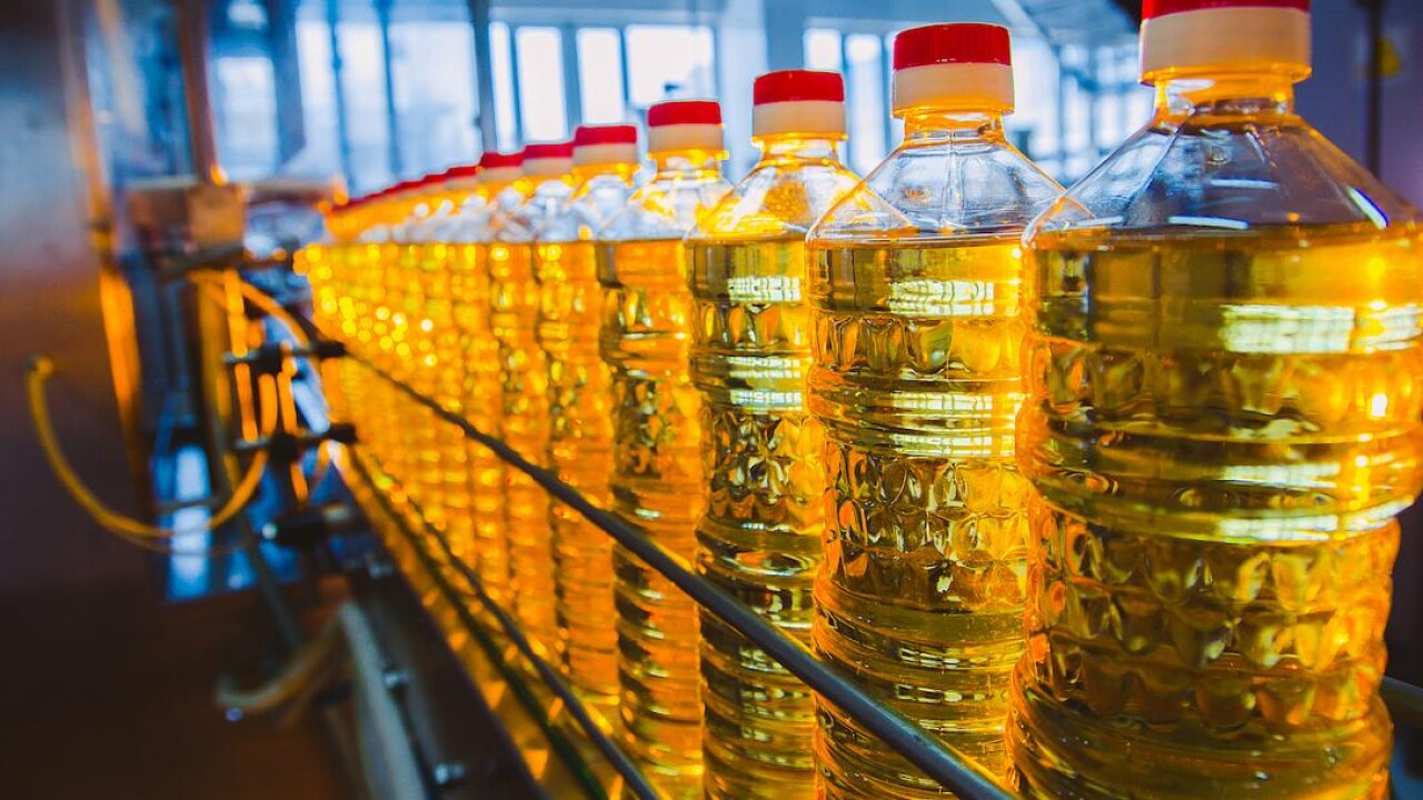 Қазақстан Қытайға күнбағыс майын жеткізуді арттырды