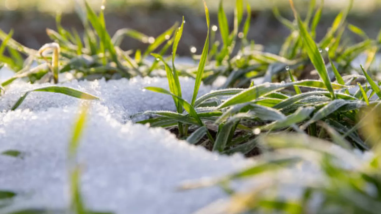В Алматы и Шымкенте резко потеплеет, а в Астане не сильно 
