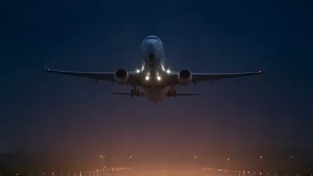 Cамолет столкнулся с койотом в США 