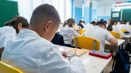 Школьникам Казахстана дадут способ получить бесплатное высшее образование 