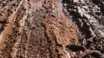 Села Павлодарской области утопают в грязи