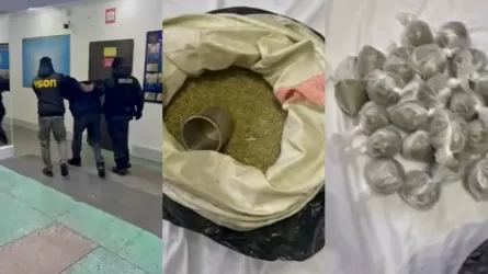 Сразу 11 кг наркотиков извлекли из оборота полицейские Павлодарской области 