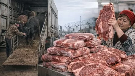 Говядина идет на антирекорд: цена рухнула ниже 1 тыс. тенге за килограмм