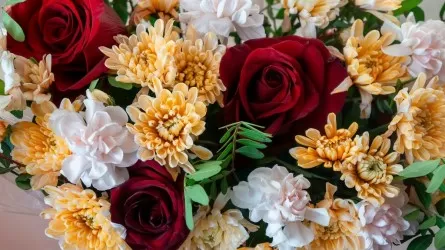 Какие цветы не стоит дарить на 8 Марта 