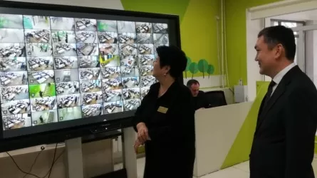 Цифровой капкан: как в Шымкенте нашли &laquo;лишние&raquo; миллиарды в школьных бюджетах