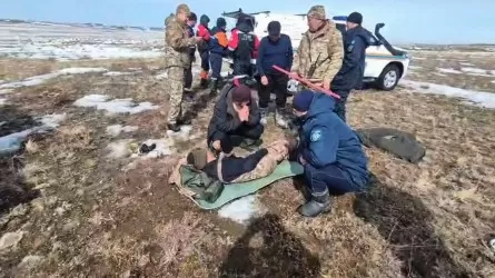 Пастух пролежал пять дней в степи с переломом ноги в Абайской области