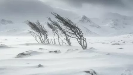 Снег, метель и ледяной дождь: на Казахстан обрушился мощный шторм с порывами до 28 м/с