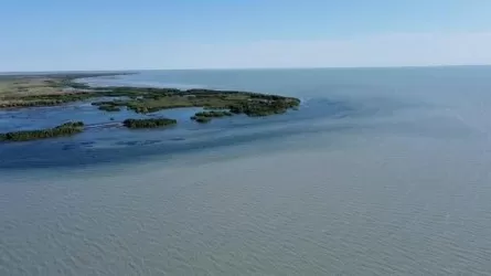 На Балхаше проверяют рыбные запасы 