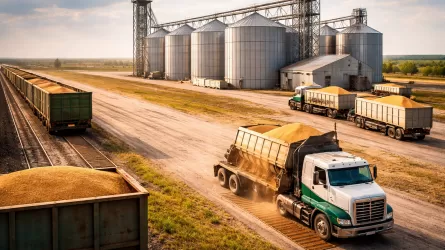 Назван главный покупатель казахстанского зерна 