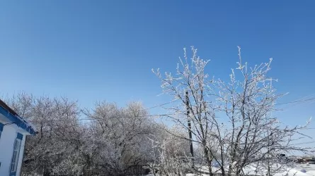 Какая погода будет на Наурыз 