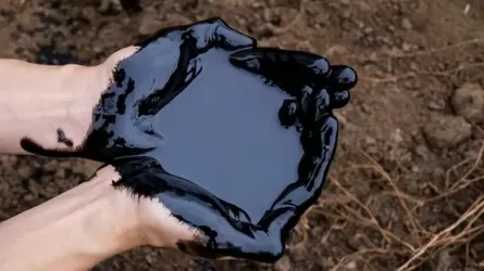 США могут отменить нефтяные санкции для &laquo;некоторых стран&raquo; 