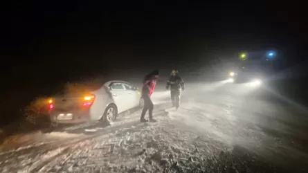 Тело пастуха обнаружили спасатели в Павлодарской области 