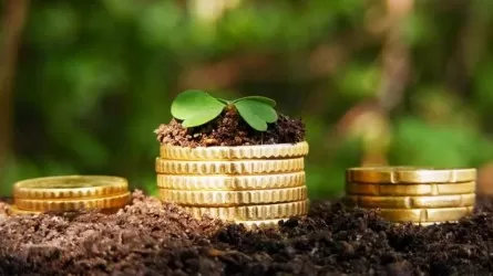   Бизнес на селе сможет получать займы без залога