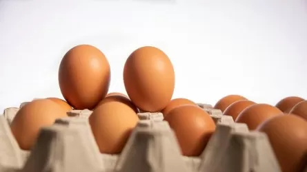 Минимальные цены на импорт некоторых товаров из ЕАЭС установили в РК 