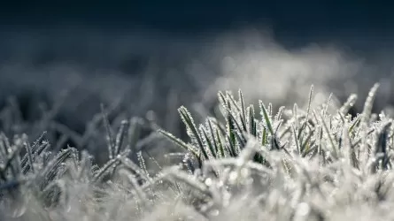 Штормовой март: Казахстан накроют метели, гололед и сильный ветер 