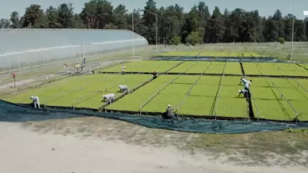 В Казахстане выбрали неожиданный метод использования засушливой зоны Аральского моря