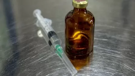 Казахстан вакцинирует скот в приграничных с Россией регионах 