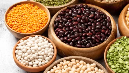 Казахстанские фермеры значительно увеличили производство и экспорт этой продукции