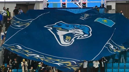 &laquo;Барыс&raquo; жанкүйерлері бас бапкердің отставкаға кетуін талап етуде