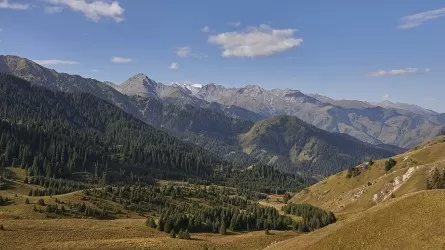 В Казахстане собирают подписи за сохранение Кок-Жайляу 