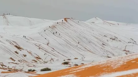 Редкое зрелище: песчаные дюны Cахары накрыл снег 