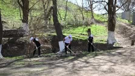 30 марта: день за мир без отходов