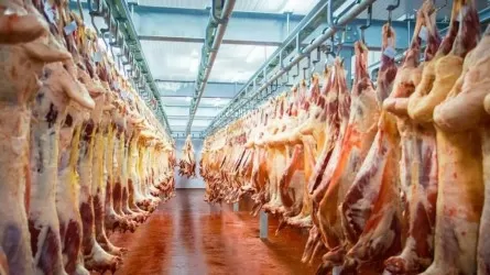 Баранина в обход войны: экспорт вопреки кризису в Персидском заливе