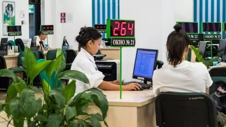 Как будут работать ЦОНы и спецЦОНы в праздники