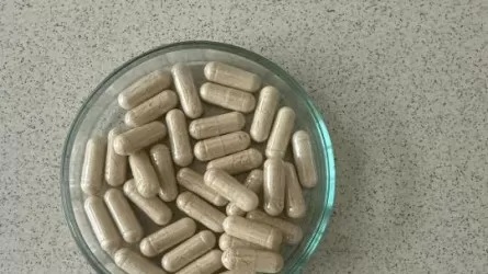 Казахстанские ученые создают БАД против диабета