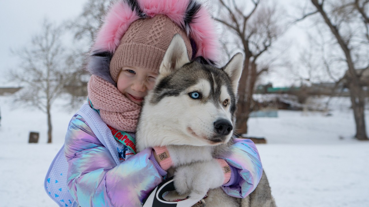 В Казахстане набирает популярность ездовой спорт