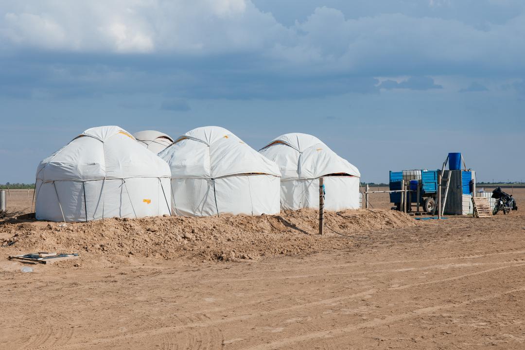 Атырау облысында егістік алқабы 10 мың гектарға дейін ұлғаймақ