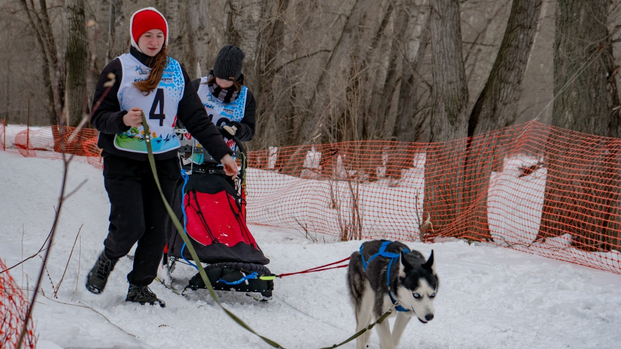 В Казахстане набирает популярность ездовой спорт