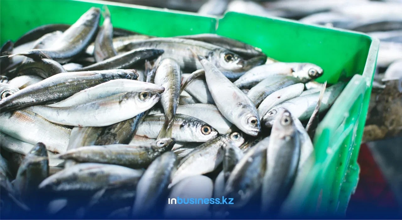 15 сәуірден бастап балықтың кей түрлерін аулауға тыйым салынады