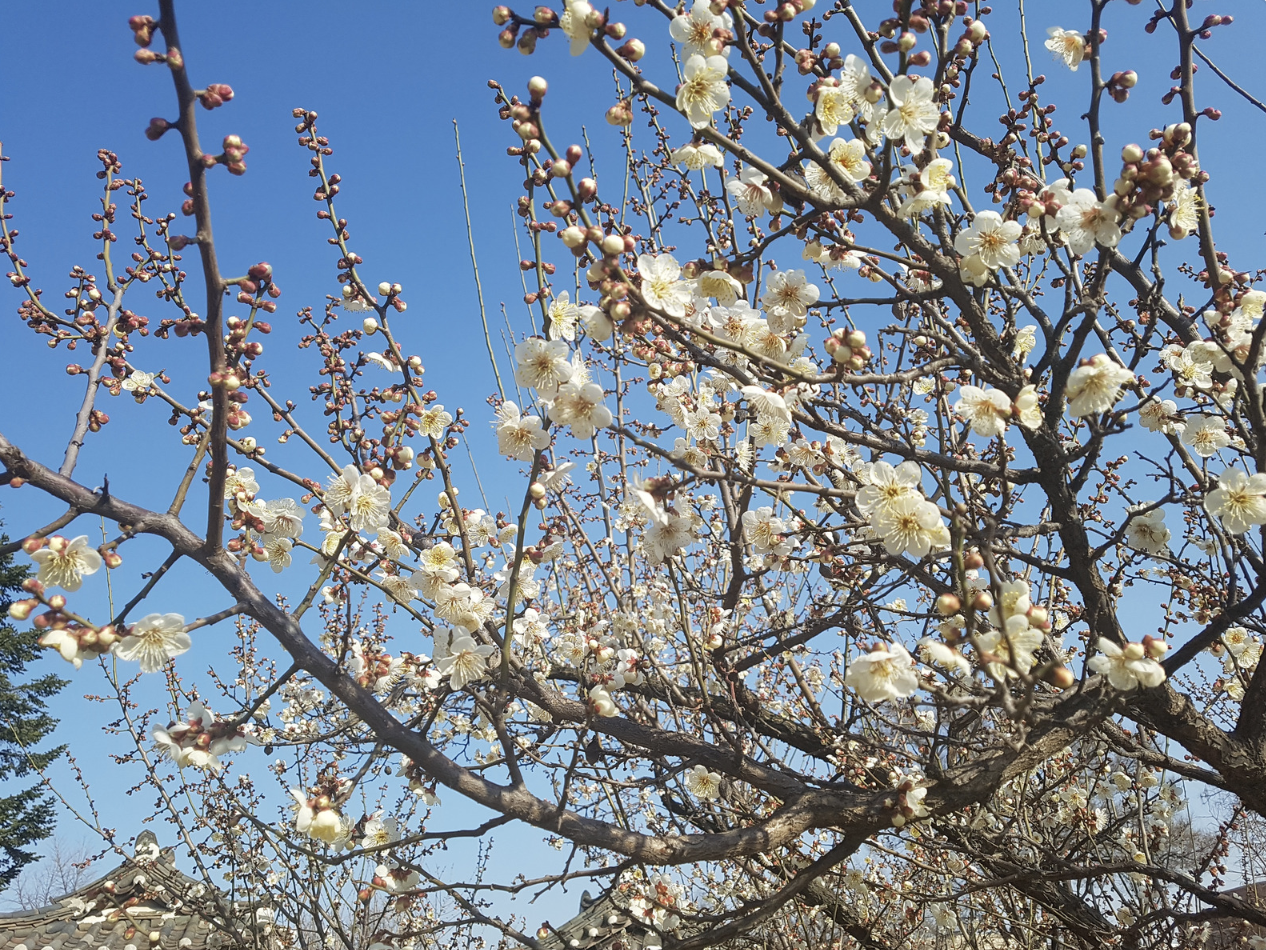 Синоптиктер наурыз&ndash;сәуір айларына ауа райы болжамын жасады