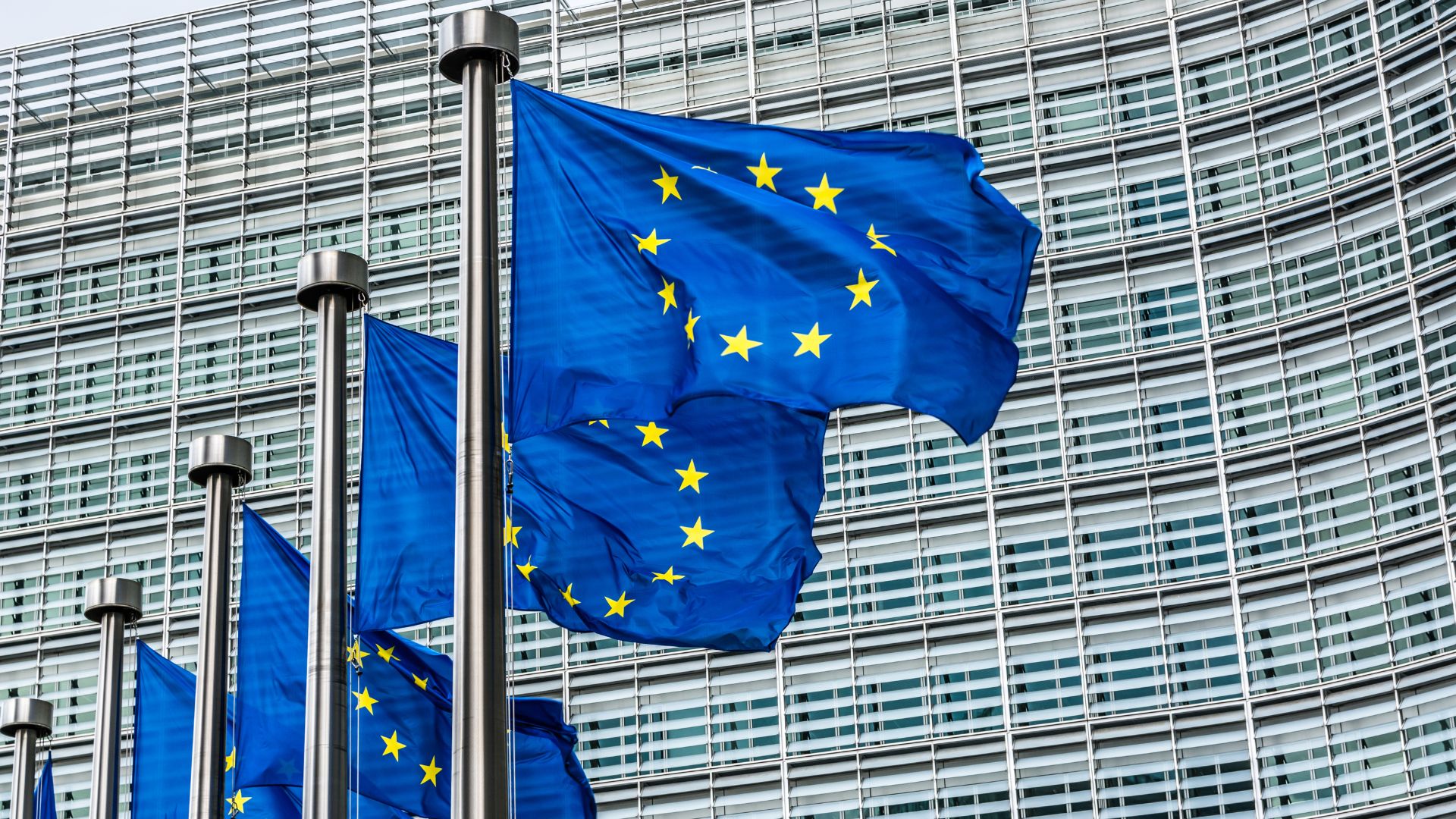 Исландия Еуроодаққа кіру мәселесі бойынша референдум өткізбек