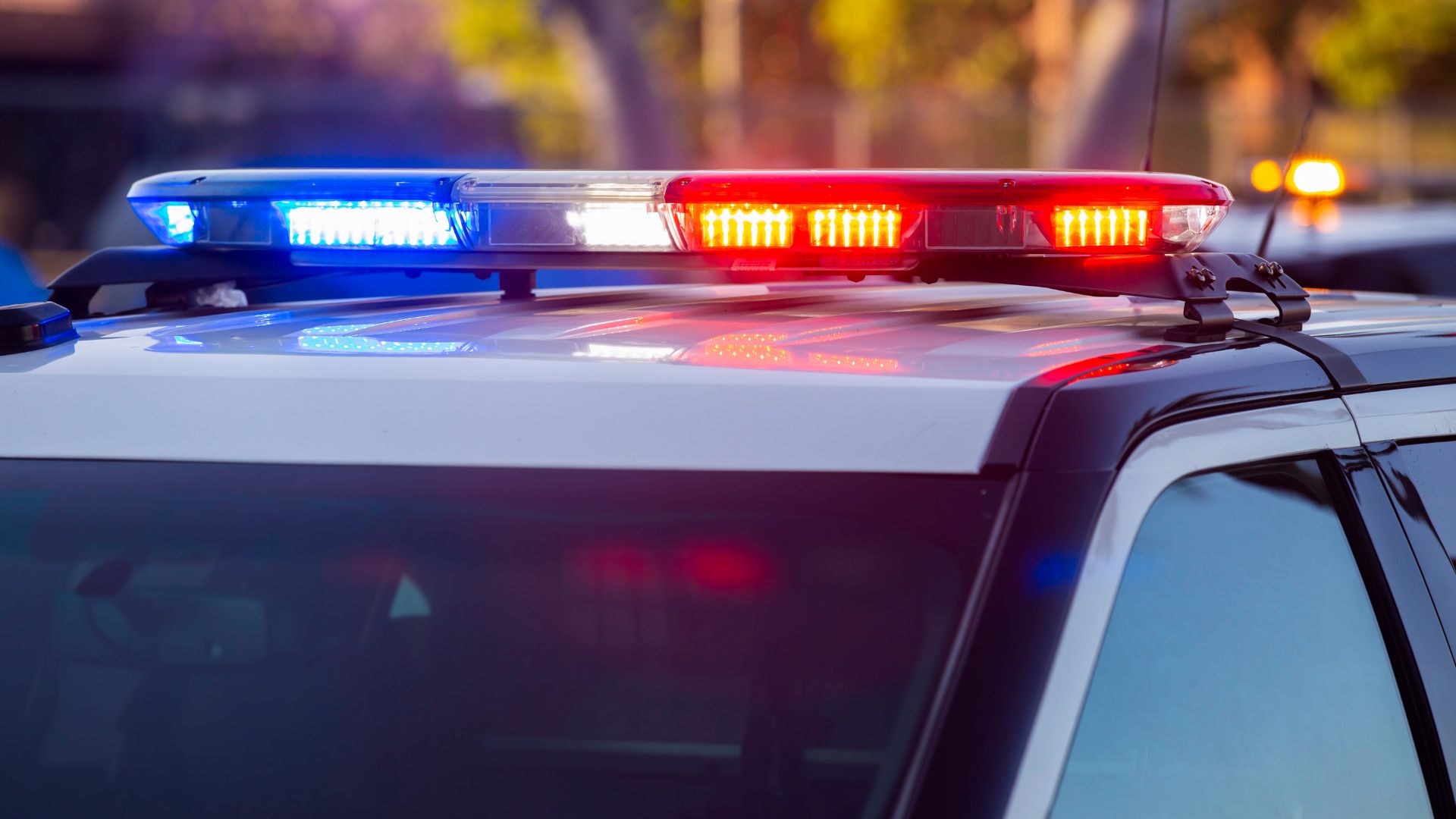 Қосшыда жол жиегінен нәрестенің денесі табылды