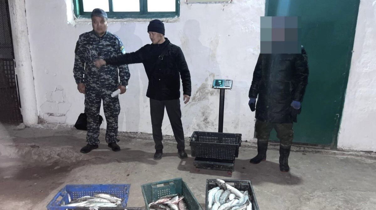 Балқашта браконьерден 79 келі балық тәркіленді