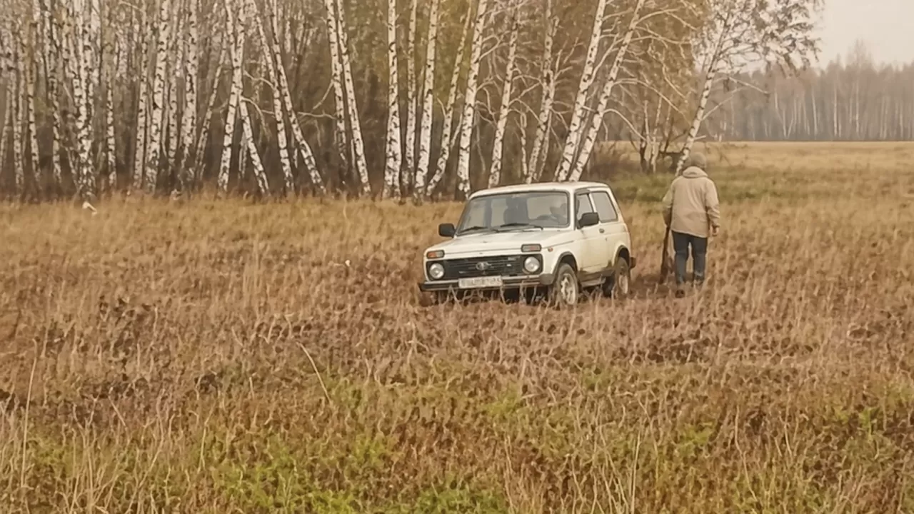 Пенсионер застрял в грязи во время поиска пропавших лошадей 