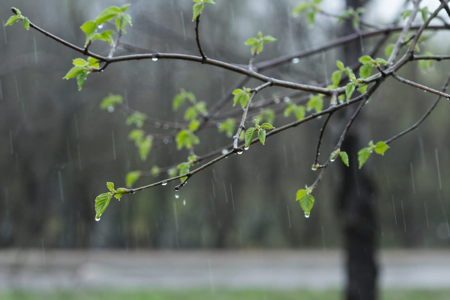 22 апреля в регионах Казахстана ожидаются дожди, сильный ветер, град и риск схода лавин