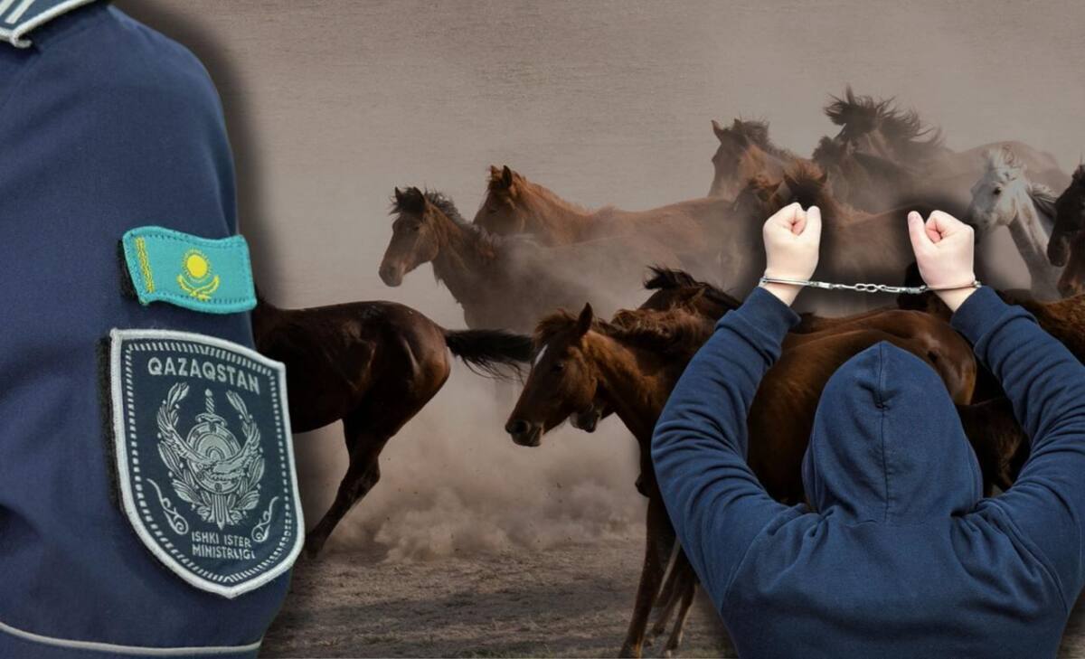 Жетісу облысында 46 млн теңгенің мал ұрлығы ашылды: бақташы күдікке ілінді