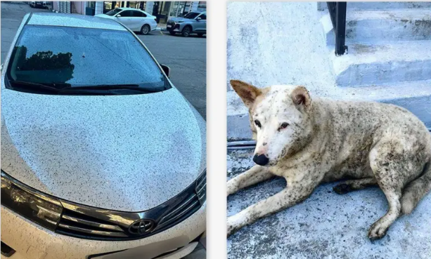 Нефтяной дождь накрыл Туапсе после атаки на нефтяной терминал  