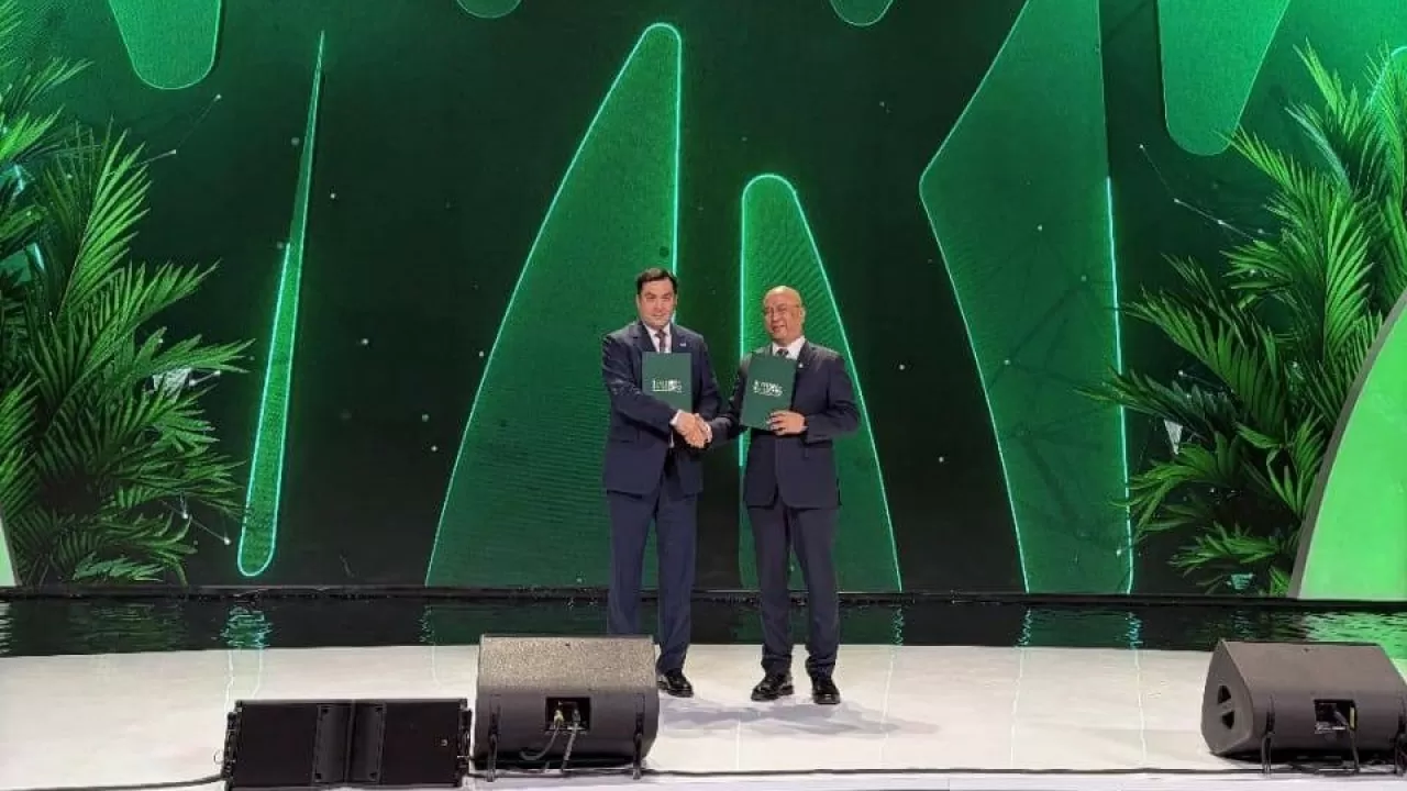 В Карагандинской области совместно с Китаем построят ветропарк на 500 МВт 