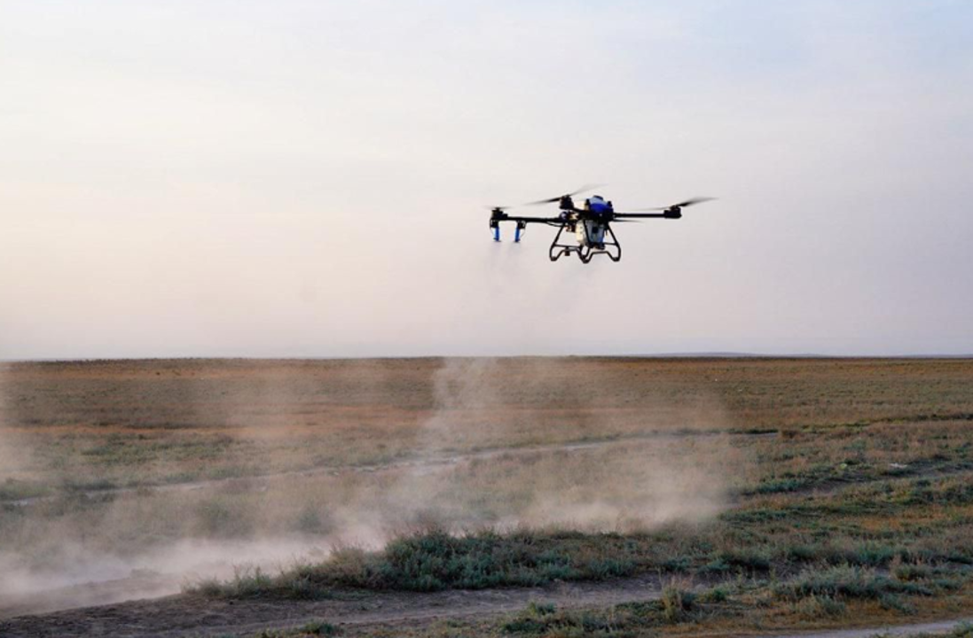 Шегірткеге қарсы күрес шараларына 100-ден астам дрон жұмылдырылады