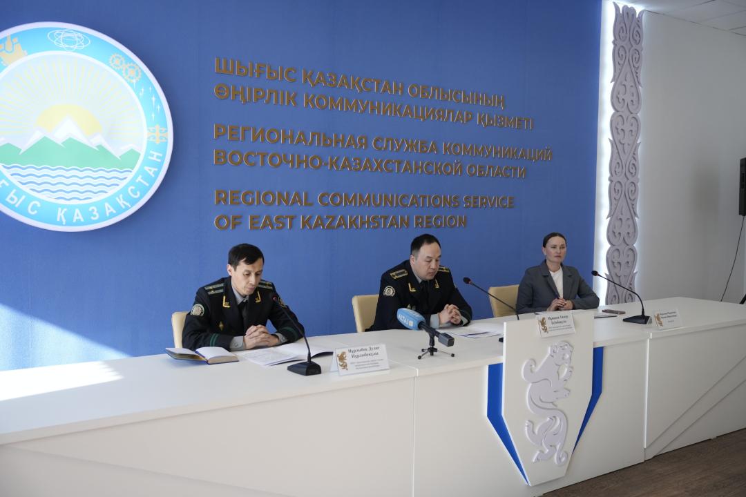 ШҚО-да үш қаржы пирамидасы әшкереленді: жүздеген сайт бұғатталды