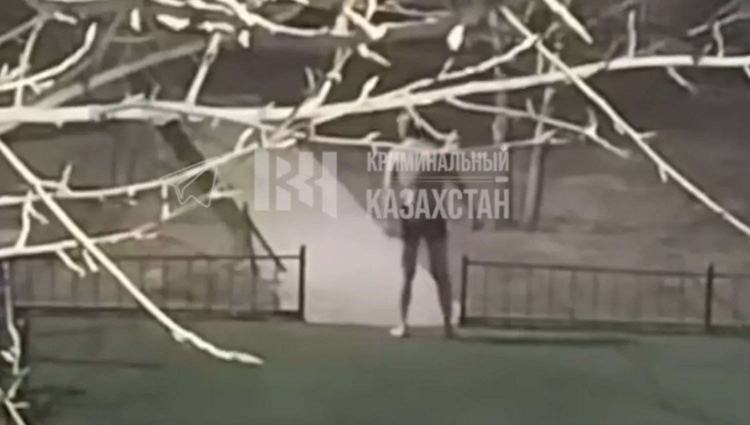 Астанада жалаңаш ер адам көшеде пышақ ұстап жүгірген