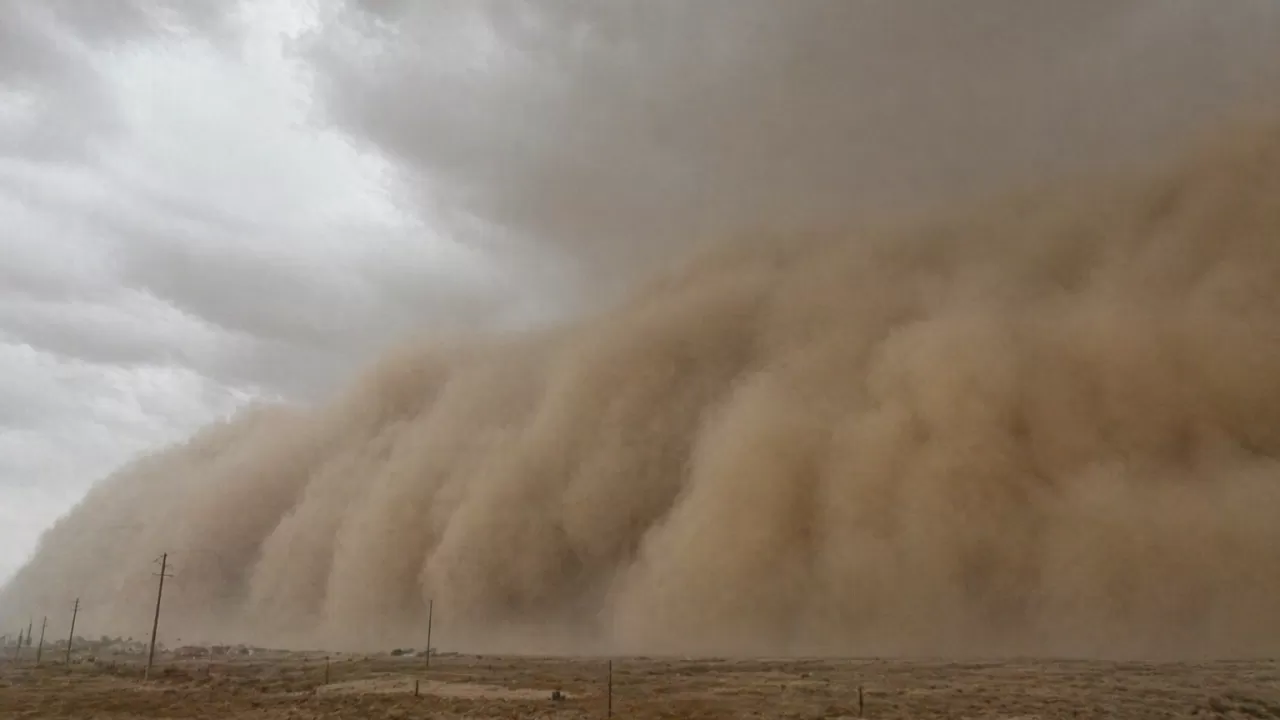 В Центральной Азии создадут "Зеленый щит" от песчаных бурь 