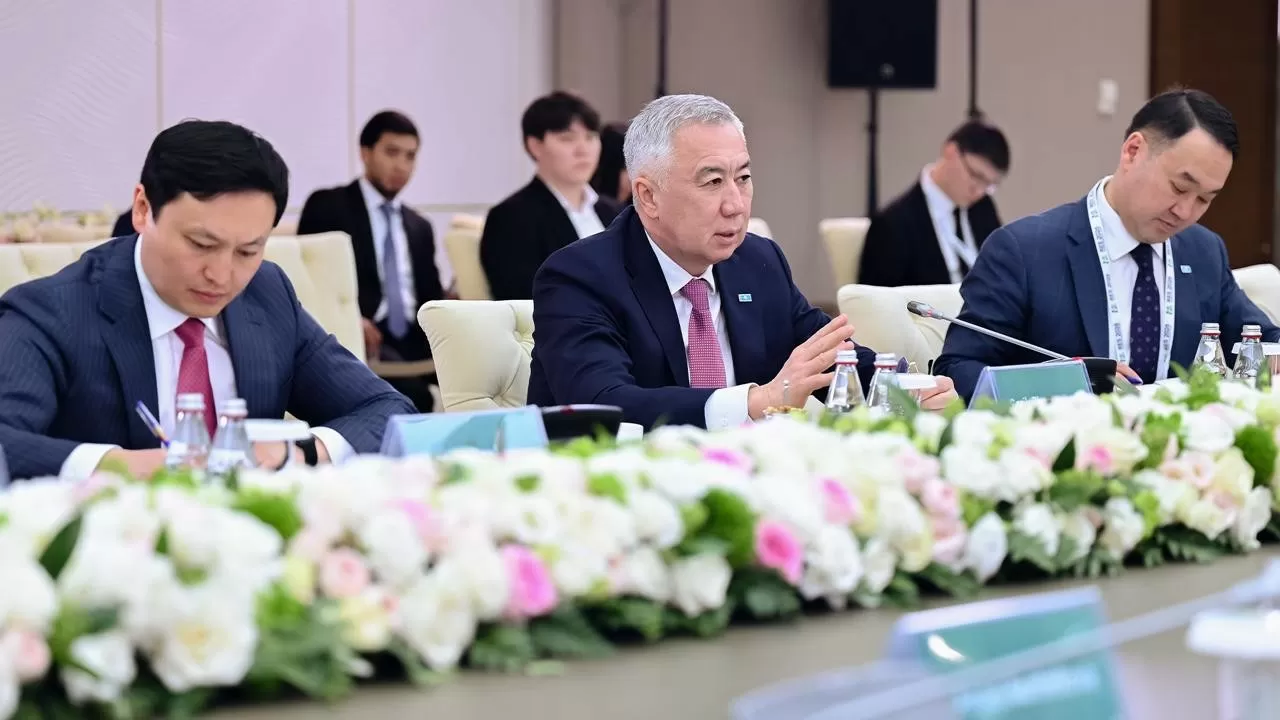 Казахстан и ПРООН обозначили приоритеты: устойчивое развитие, регионы и "зеленая" трансформация